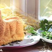 Na Warmii baranki wykonywano z masła. Później zaczęto wypiekać je z ciasta.