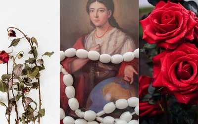 Sensem istnienia RŻR, założonych przez  bł. Paulinę Jaricot, jest misyjna współpraca i duchowa pomoc  głoszącym Ewangelię.