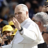 Modlitwa z Papieżem w kwietniu – za kapłanów w kryzysie