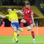 Niestety... Polacy pokonani przez Szwedów nie awansowali na mundial