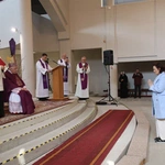 Płock. Ustanowienie lektorów