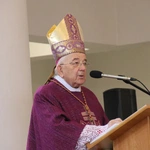 Płock. Ustanowienie lektorów