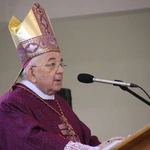 Płock. Ustanowienie lektorów