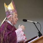 Płock. Ustanowienie lektorów