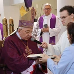 Płock. Ustanowienie lektorów