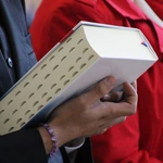 Płock. Ustanowienie lektorów