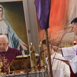 Płock. Ustanowienie lektorów