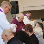 Płock. Ustanowienie lektorów