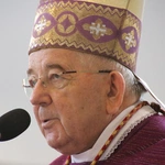 Płock. Ustanowienie lektorów