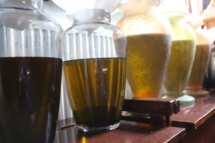 Płock. Msza Krzyżma