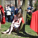 Misterium w Piekarach Śl. 2026 - Proces Jezusa