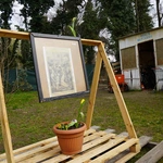 Droga Krzyżowa w schronisku Towarzystwa Pomocy im. św. Brata Alberta