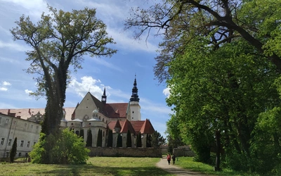 Pielgrzymowanie czas zacząć. Grupy 14 i 21 zapraszają na wędrówkę