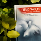 Tydzień Biblijny we Wrocławiu. Mnóstwo propozycji