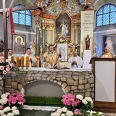 Z wizytacją w Domaszkowie