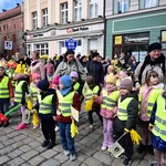 Marsz Nadziei w Świdnicy