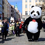 Marsz Nadziei w Świdnicy