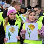 Marsz Nadziei w Świdnicy