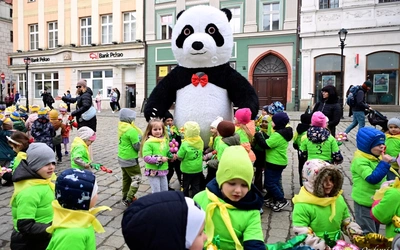 Marsz Nadziei w Świdnicy