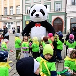 Marsz Nadziei w Świdnicy