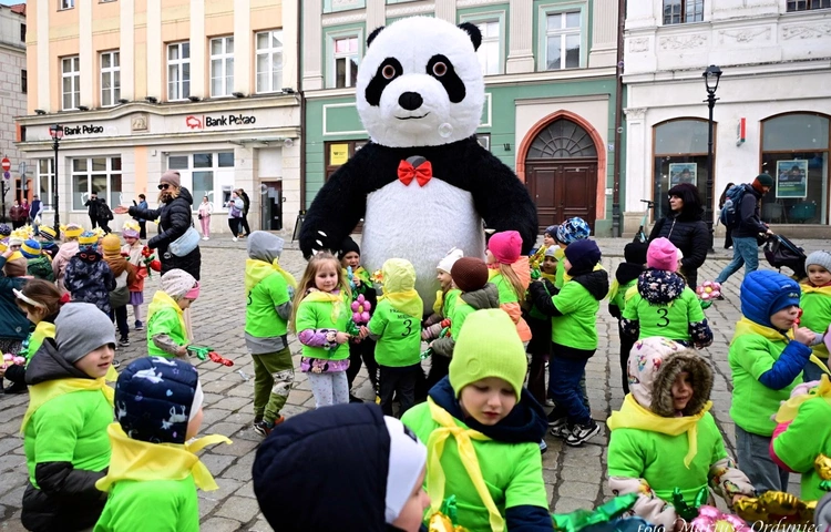 Marsz Nadziei w Świdnicy