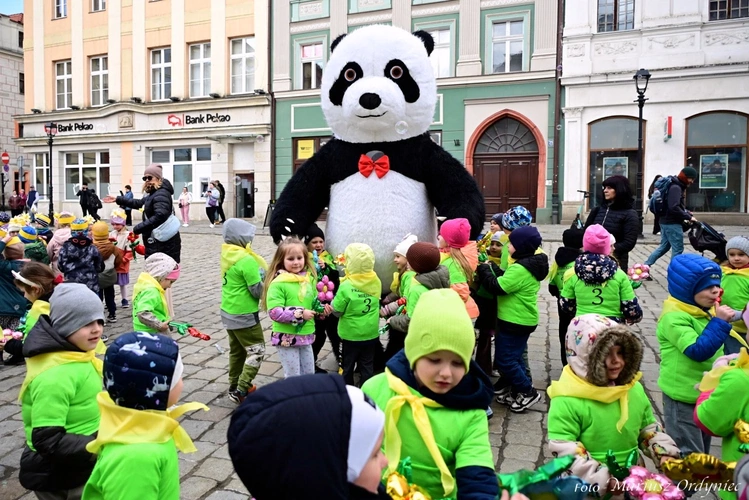 Marsz Nadziei w Świdnicy