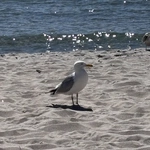 Morze ukrytych znaczeń