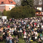 Niedziela Miłosierdzia 2026