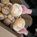 Koncert "Cud Miłosierdzia"