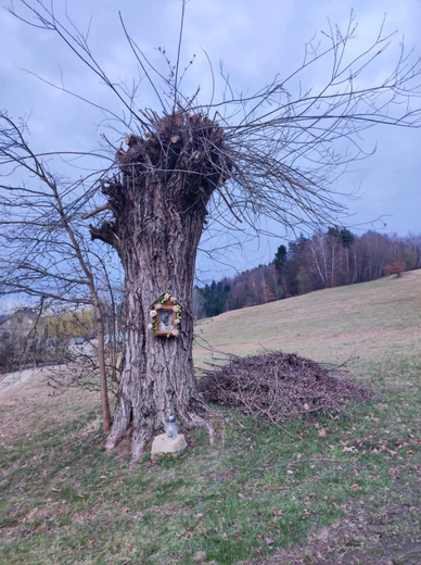 Świętość wpisana w naturę