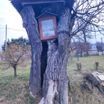 Świętość wpisana w naturę