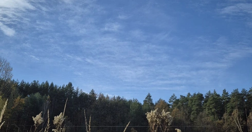 Coś więcej niż setka powiadomień