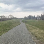 Słońce zaglądało do okien