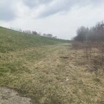 Słońce zaglądało do okien