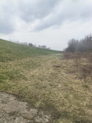Słońce zaglądało do okien