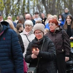 Droga Światła na ulicach Zielonej Góry
