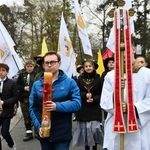 Droga Światła na ulicach Zielonej Góry