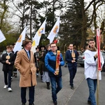 Droga Światła na ulicach Zielonej Góry