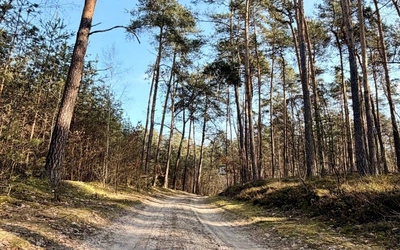 Przygoda zaczyna się tuż za progiem