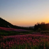 Między nocą a światłem - świt na Polanie Gąsienicowej 