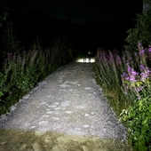 Miedzy nocą a światłem