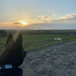 Wracam do korzeni i dzieciństwa