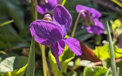 Wszystko ma swój czas