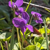 Wszystko ma swój czas