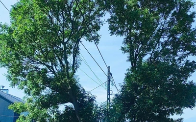 Fotografia jak terapia