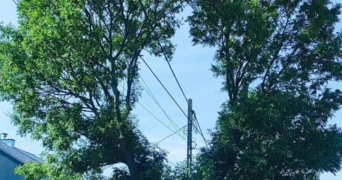 Fotografia jak terapia