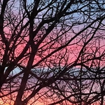 Fotografia jak terapia