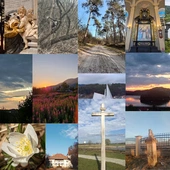 Patrzer 2026. Już można głosować!