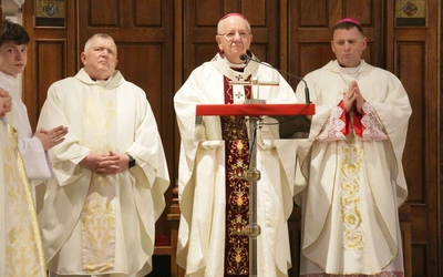 Miłosierdzie w praktyce