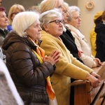 Płock. Niedziela Miłosierdzia w sanktuarium cz. II